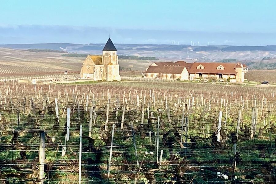 15 Burgundy Wines Chateau Pommard, Chablis Small-Group - A long Burgundy day from Paris: worth it if you like structure