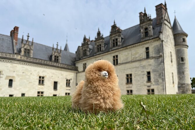 3 Loire Valley Castles and Wine Tasting Private Guided Tour - Chenonceau: the ladies castle and the most photographed stop