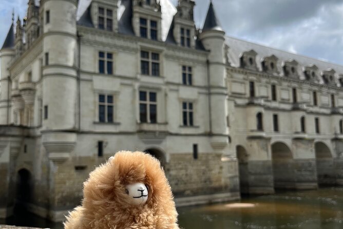 3 Loire Valley Castles and Wine Tasting Private Guided Tour - Choosing the right day for this Loire route