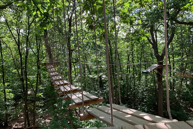 Accrobranches course in the middle of the forest in Saint-Germain-en-Laye - Key highlights you’ll actually care about