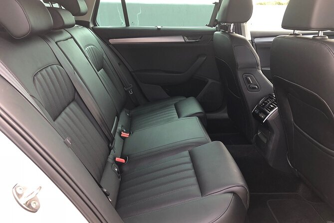 Airport Transfer Paris - Disneyland - Minivan 1-8 Passengers - Meet Your Driver: From Customs Exit to Van Fast