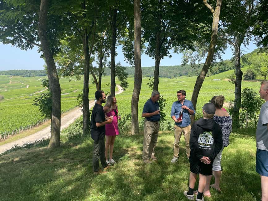 Authentic Champagne Tour: 3 vineyards, 10 Tastings & Lunch - Who this tour is best for (and who should rethink it)