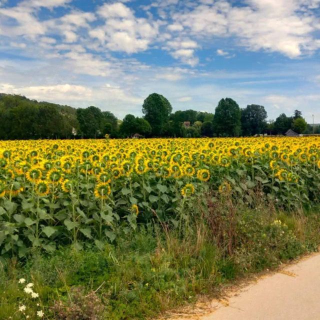 Bike tour from Vernon to Giverny with local guide - Bike rental and value: what $29 really covers