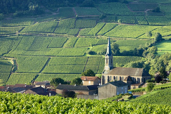 Burgundy Wine Tasting Small-Group Tour in Chablis from Paris - Why Chablis feels like the smart Burgundy choice