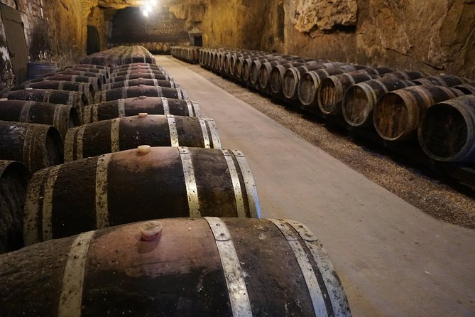 Burgundy Wine Tasting Small-Group Tour in Chablis from Paris - Chablis town time and the Auxerre Cathedral photo pause