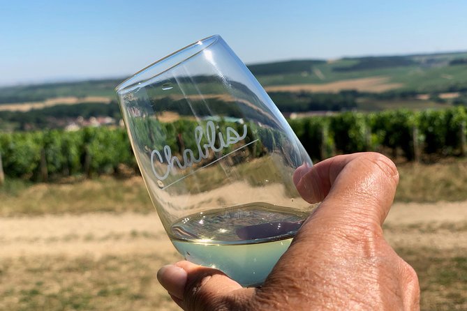 Burgundy Wine Tasting Small-Group Tour in Chablis from Paris - Domain Jean-Marc Brocard: your first tasting sets the tone