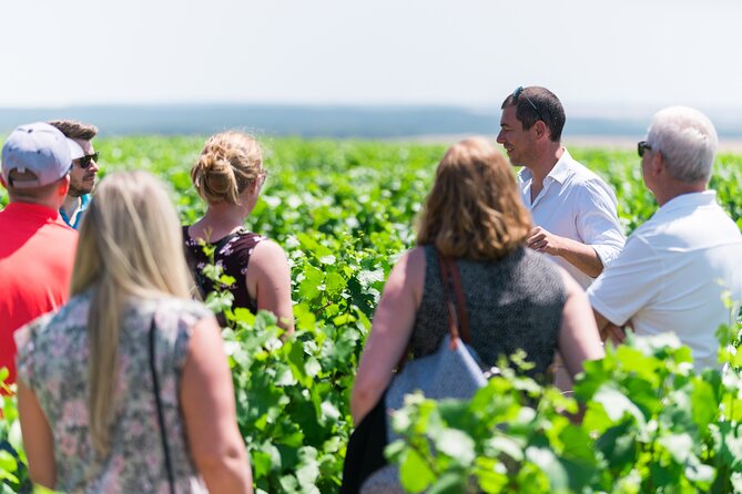 Burgundy Wine Tasting Small-Group Tour in Chablis from Paris - The 7:00am Paris start: make it work for you