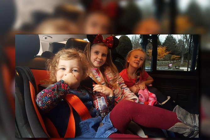 CDG - Euro Disney One Way Private Shuttle Transfer - Key Highlights You’ll Actually Feel