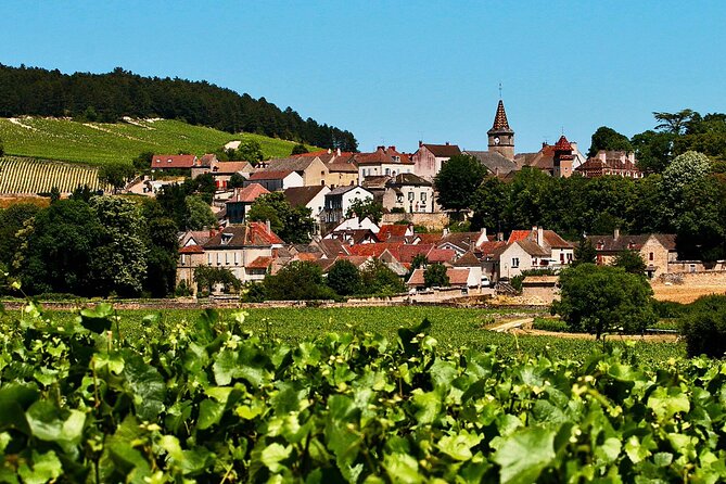 Chablis 20 Exquisite Wines Tasting Trip in Small-Group from Paris - Céline & Frédéric Gueguen plus village time: choose how social you want to be