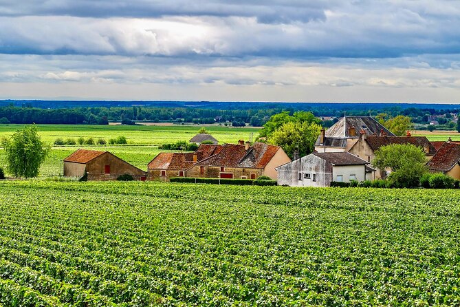 Chablis 20 Exquisite Wines Tasting Trip in Small-Group from Paris - La Chablisienne: one more tasting set before the trip back
