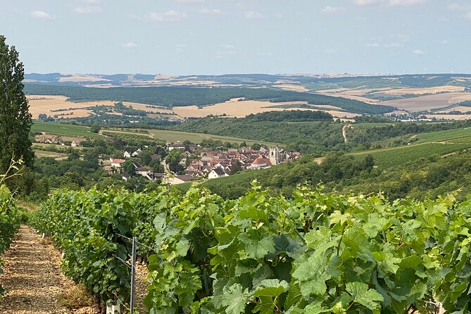 Chablis and Burgundy Wine Tour Run by Sommelier with Lunch - The Burgundy village + pairing lunch: where the day turns from tasting to conversation