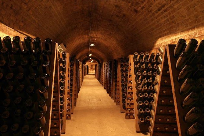 Champagne and Reims Tasting Day Trip from Paris - Abbaye Saint-Pierre d’Hautvillers: vines, terroir talk, and vineyard edges
