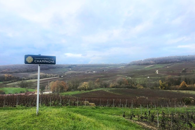 Champagne Area Small-Group Tour including a Top Champagne house & Family Winery - The family winery finale: Roger-Constant Lemaire and meeting the growers