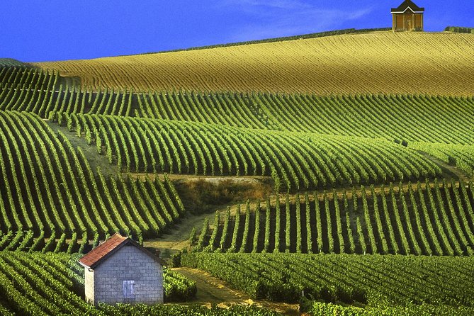 Champagne Day Tour with Reims, Cellars Visit & Champagne Tasting from Paris - Phare de Verzenay: The Lighthouse of Champagne views you’ll talk about later