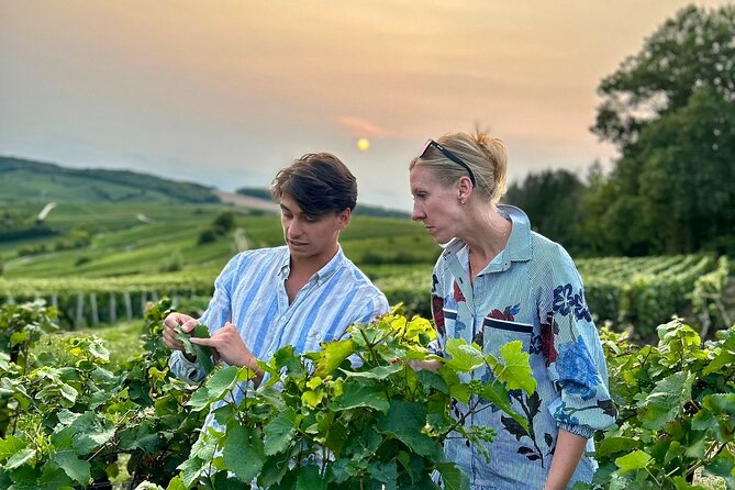 Champagne Day Trip from Paris with 8 Tastings & Lunch - Key highlights worth your attention