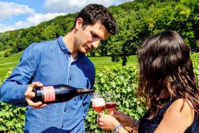Champagne Day Trip from Paris with 8 Tastings & Lunch - The Champagne Countryside Van Ride: What You Notice on the Way