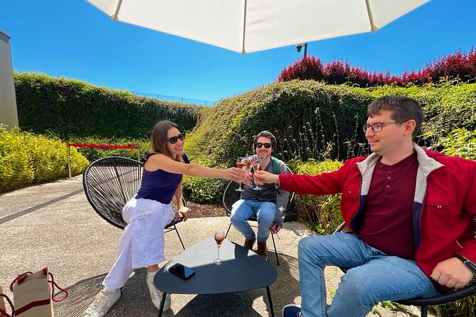 Champagne Picnic and Tasting on Vineyard. Private Tour from Paris - Key things that make this Champagne tour work