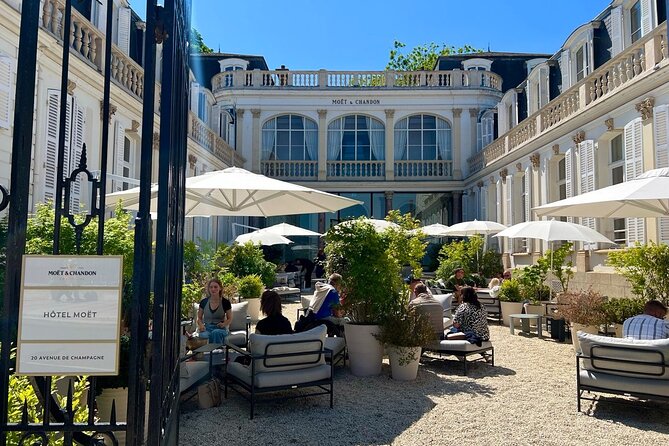 Champagne Picnic and Tasting on Vineyard. Private Tour from Paris - A private Champagne day from Paris, minus the stress
