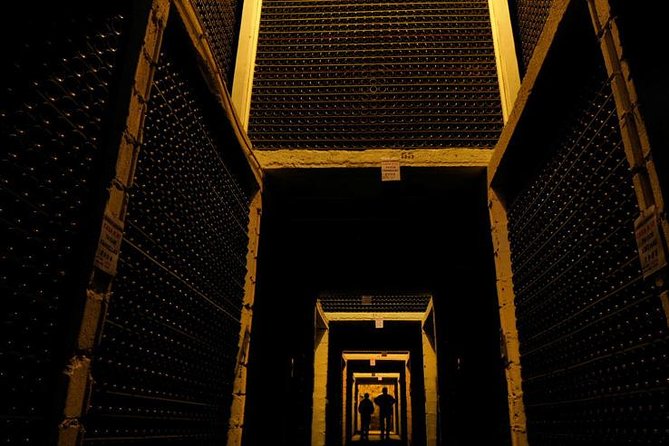 Champagne Private VIP Wine Day Trip with Michelin Lunch - Reims Cellars and a Real Tasting Lesson (Ruinart, Moët & Chandon, or Veuve Clicquot)