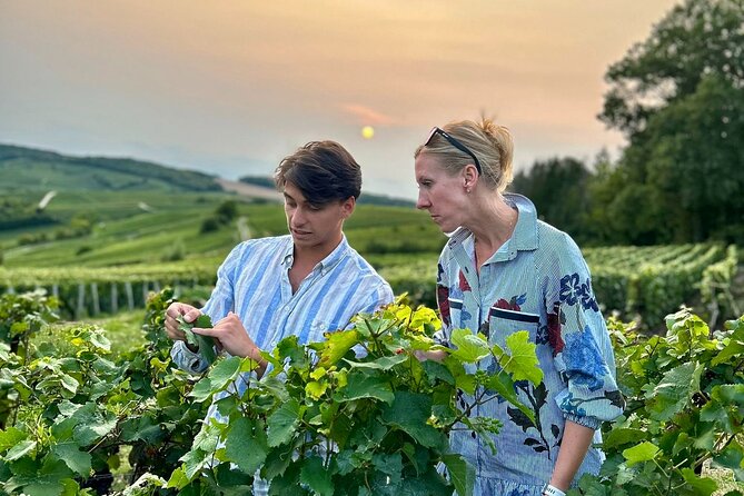 Champagne Private Wine Day Trip with Lunch and Wine Tastings - Key points before you go