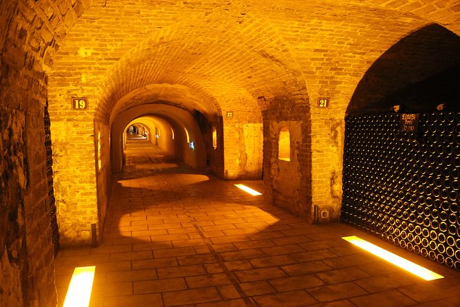 Champagne Private Wine Day Trip with Lunch and Wine Tastings - Why this private Champagne day from Paris actually feels smooth