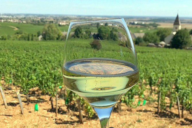 Champagne Private Wine Day Trip with Lunch and Wine Tastings - Hautvillers and Dom Pérignon: the timing-dependent moment that adds story