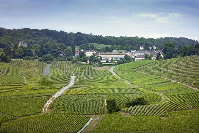 Champagne Region Private Day Trip from Paris - Key Highlights Worth Booking