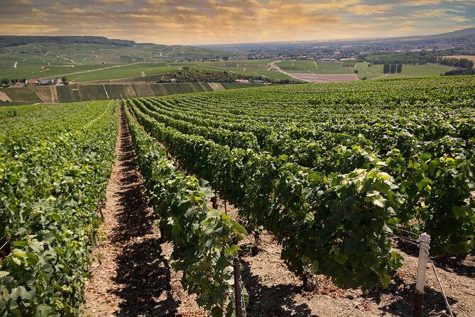 Champagne Tasting Tour Day Trip From Paris - Price and logistics: is $421.17 a fair deal?