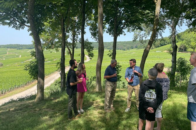 Champagne Tour: 3 family estates, 10 Tastings & Lunch - Stop 1 in Reims: Family Estate Tasting With Real Personality