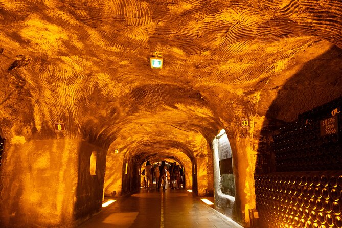 Champagne Tour: 3 family estates, 10 Tastings & Lunch - The UNESCO Vineyard Drive: What You Should Look For