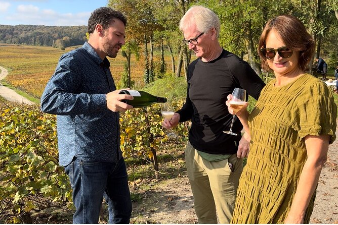 Champagne Tour from Paris with Sommelier and Premium Wineries - Key Highlights You’ll Care About