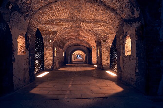 Champagne Tour from Paris with Sommelier and Premium Wineries - Leaving Paris at 7:45: the van route that saves time