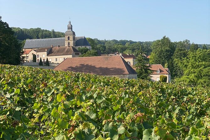 Champagne Tour from Paris with Sommelier and Premium Wineries - Champagne Route tastings: what you actually get at premium estates