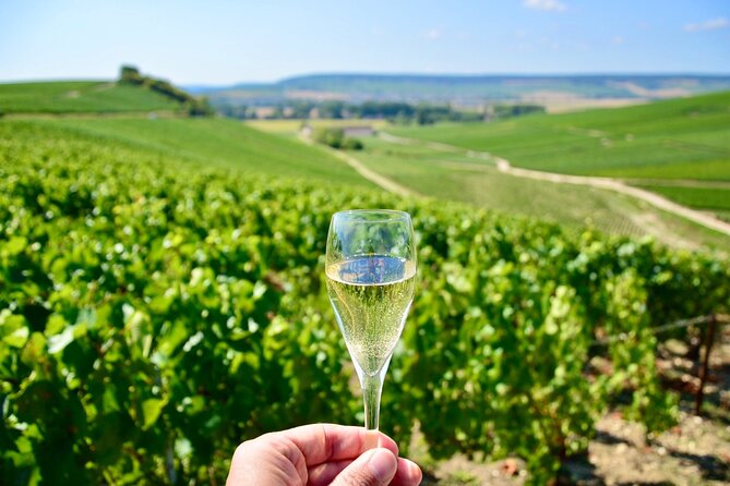Champagne Tour from Paris with Sommelier and Premium Wineries - Reims Cathedral and the coronation story you can see