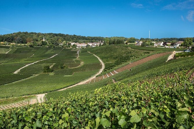 Champagne tour - Private Day trip from Paris - Key points to notice before you go