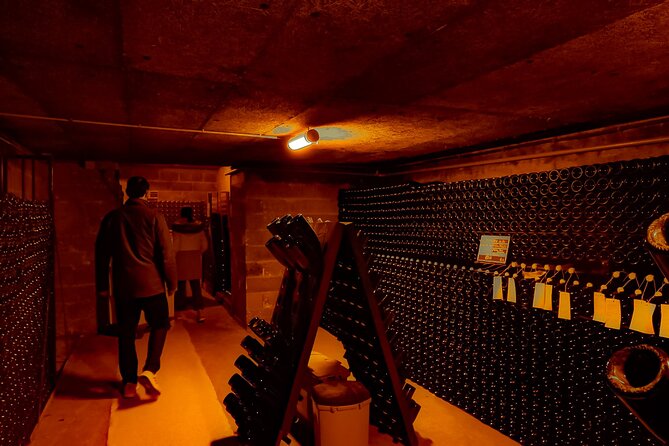 Champagne tour - Private Day trip from Paris - Reims Cathedral: stained glass and coronation storytelling in 30 minutes