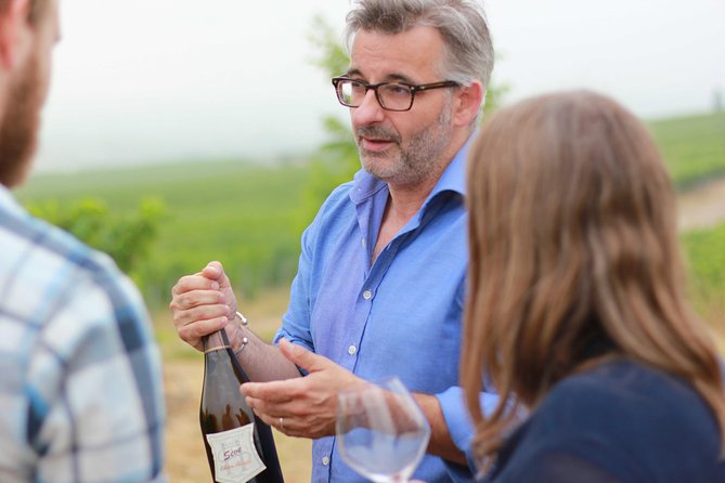 Champagne VIP Day Trip from Paris With Local PRIVATE Wine Expert Guide - Key points to know before you go