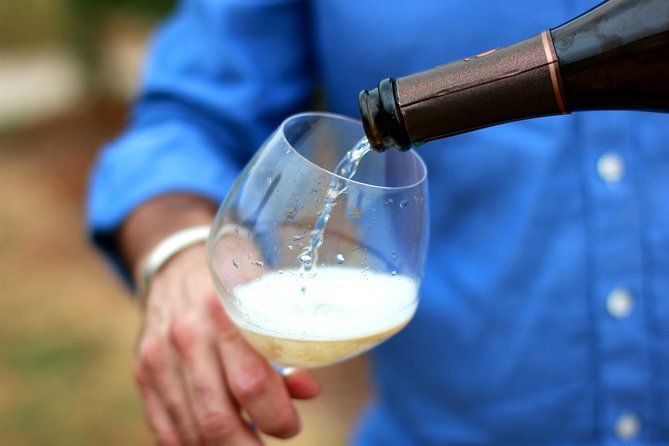 Champagne VIP Day Trip from Paris With Local PRIVATE Wine Expert Guide - Price and Logistics: Why It Costs This Much