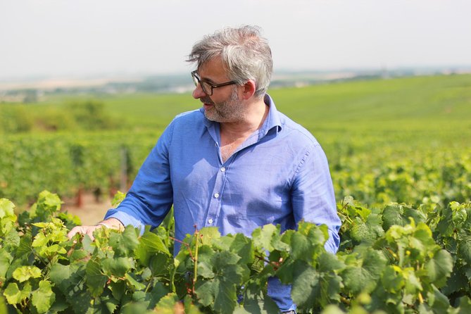 Champagne VIP Day Trip from Paris With Local PRIVATE Wine Expert Guide - Champagne-Ardenne: Vineyards, Winemaking Basics, and a Morning Tasting