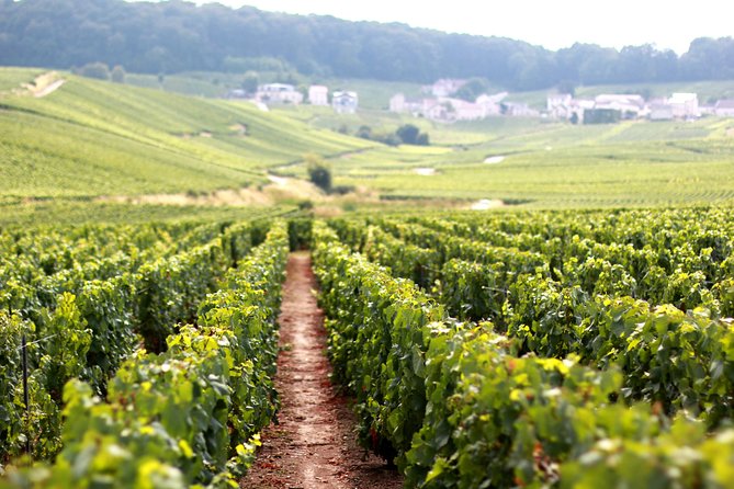 Champagne VIP Day Trip from Paris With Local PRIVATE Wine Expert Guide - From Gare de l’Est to Champagne-Ardenne in First Class