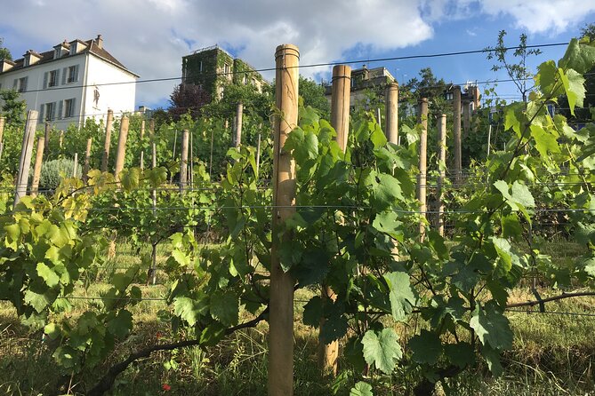 Clos Montmartre 'Paris in your Glass' Wine Tasting - A Hilltop Wine Walk That Actually Makes Sense