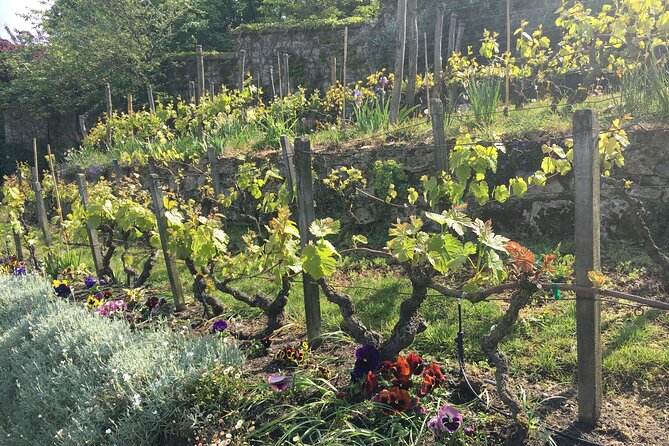 Clos Montmartre 'Paris in your Glass' Wine Tasting - Place Dalida Views: Sacré-Cœur in Your Line of Sight