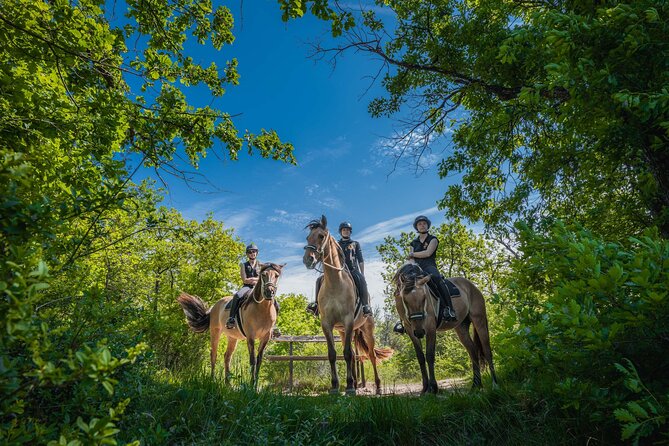 Day Trip to Fontainebleau : Horse Riding, Gastronomy and Castle - Paris pickup to Fontainebleau: how the day really moves
