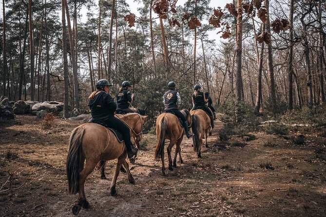 Day Trip to Fontainebleau : Horse Riding, Gastronomy and Castle - Price and value: is $1,941.57 per person worth it?