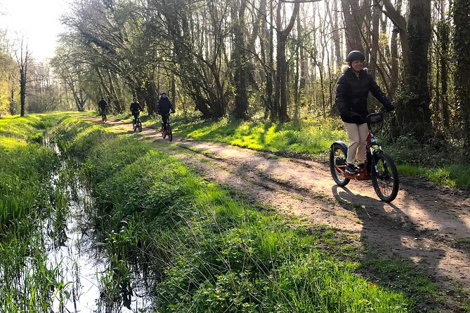 Discover Versailles on electric 2-wheelers (Yes to PRM) - L’Orangerie and the 13 Hectares of Water: Your Final Big View
