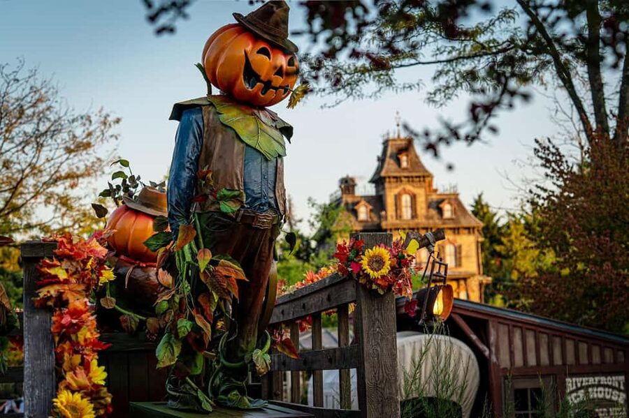 Disneyland® Paris Tickets and Shuttle Transport - Themed bus to the park entrance: comfortable and guided