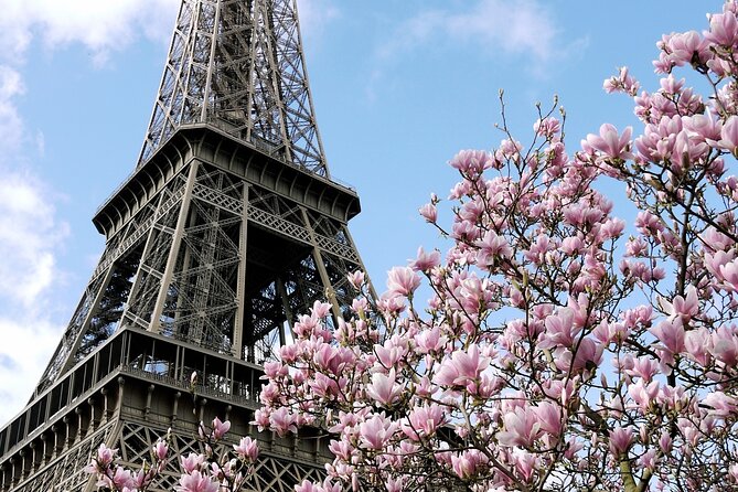 Eiffel Tower Summit Semi-Private Guided Tour - Summit Views: Spotting Paris From Above (and Why the Top Matters)