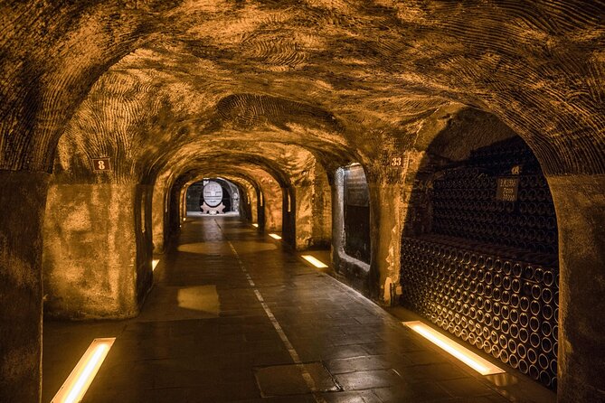 Epernay and Reims Champagne Private Day Trip from Paris - Price and Value: Is This a Good Use of $692.75?