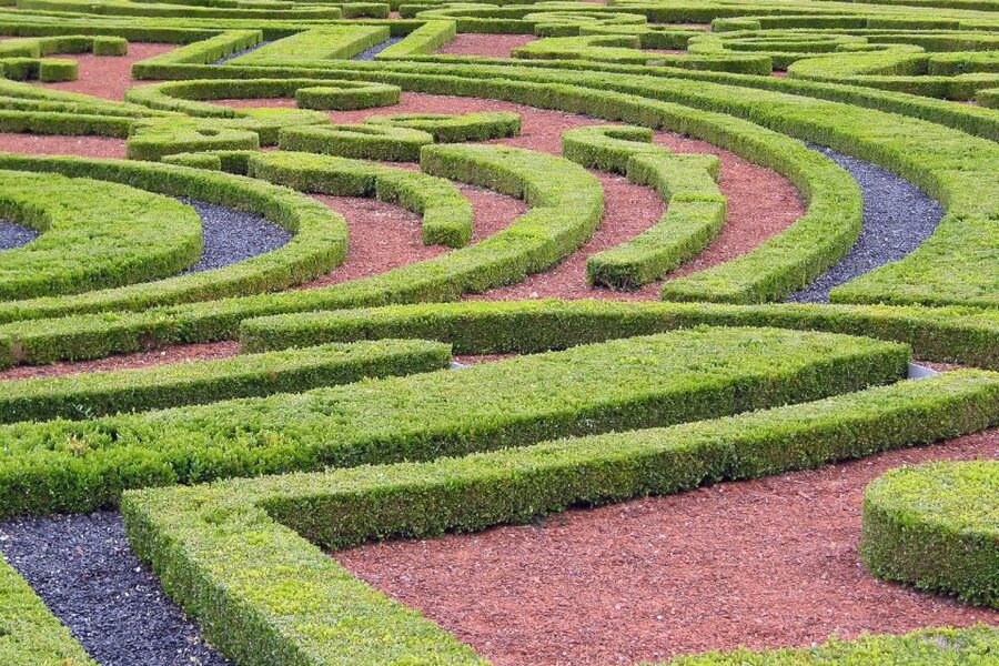 Fontainebleau & Vaux-le-Vicomte Châteaux Day Tour from Paris - Coach Logistics: Timing, Meeting Point, and the Little Things That Matter