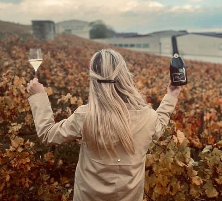 From Paris: Champagne Day Trip with 7 Tastings and Lunch - Timing, pace, and the logistics you should actually plan for
